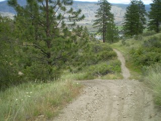 Took trail to the left (north), Oliver Mtn East Trail 2012-06.